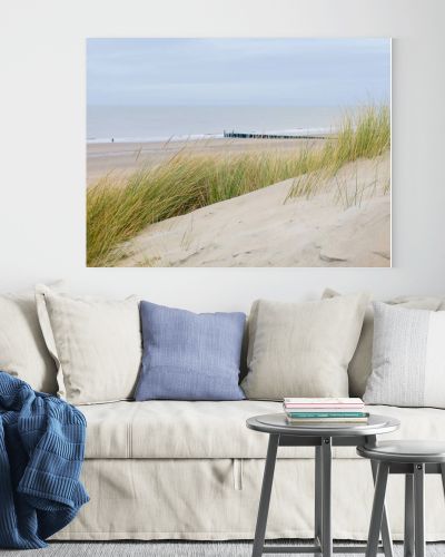 Gentle dunes line the peaceful coast of Zeeland in the Netherlands, where tall grass sways in the breeze. In the distance, wooden breakwaters stretch along the shore