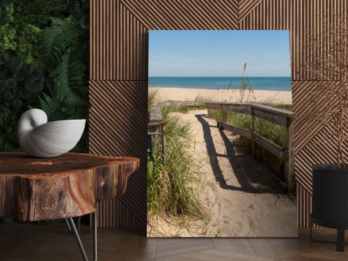 Wooden fence along a sandy beach path lined with dune grass and sea oats, highlighting coastal protection and natural ecosystem design