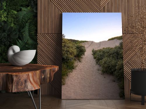 Sandy path through coastal dunes surrounded by green vegetation leading toward the horizon. Natural landscape symbolizing journey, direction, progress, freedom and new opportunities.