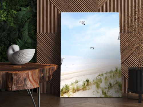 Beach dunes with flying seagulls