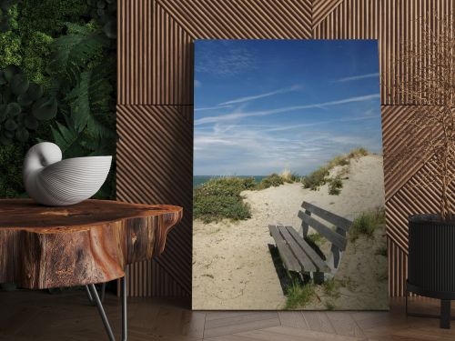 dune landscape at nieuw haamstede,schouwen duiveland,southern netherlands