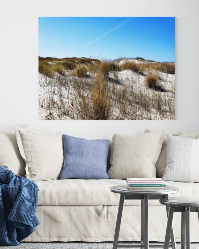 Photo of dunes and white sand beach at German shore of Baltic sea