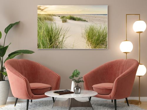 Beach with sand dunes and marram grass with soft sunrise sunset back light. Skagen Nordstrand, Denmark. Skagerrak, Kattegat.