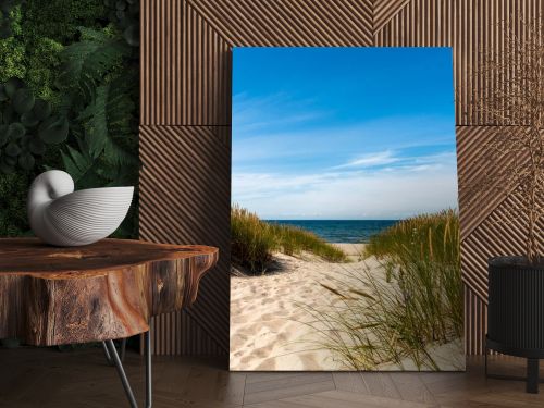 Calm beach with dunes and green grass. Ocean in the background, blue sunny sky