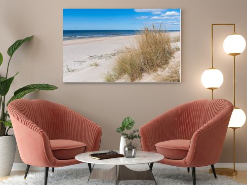Beautiful sandy beach with dry and yellow grass, reeds, stalks blowing in the wind, blue sea with waves on the Baltic Sea in Palanga, Klaipeda, Lithuania
