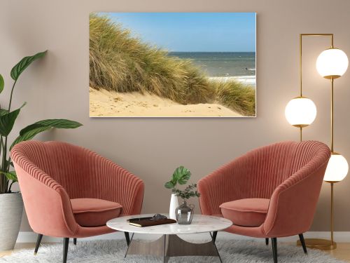 grassy beach dune at the north sea