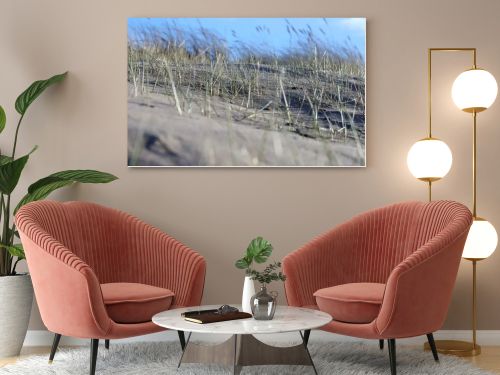 sand with grass, sky and a blue spot in the upper right corner.