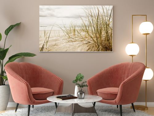 Close up of a tall grass on a beach during cloudy season