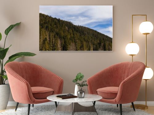 Spruce forest on hill of mountains with sky at background 