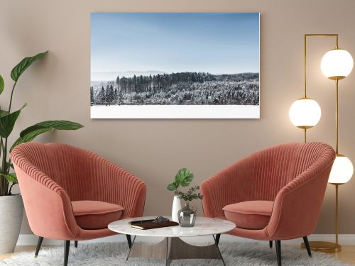 landscape with forest and carpathian mountains covered with snow