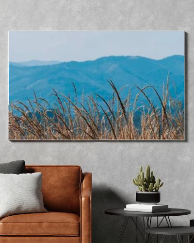 panoramic shot of golden field near scenic mountains 