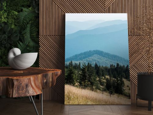  fir trees in mountains near golden lawn against sky