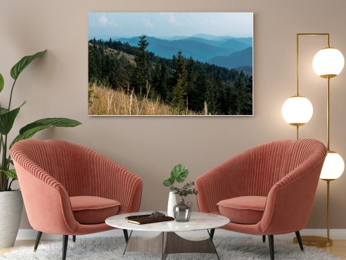 selective focus of fir trees in mountains near lawn against sky