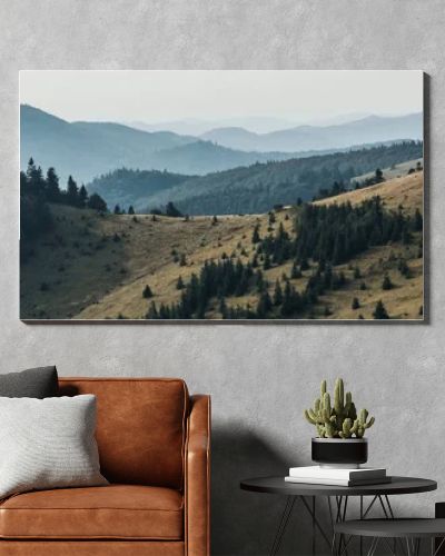 panoramic shot of golden lawn with pines near mountains 