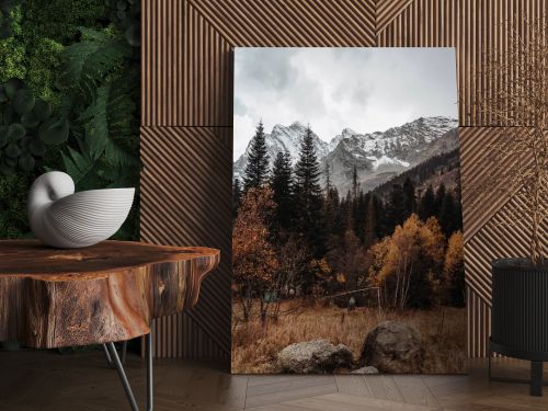Beautiful autumn landscape in the black mountains, stones lie on the yellow dry grass. Trees with golden leaves and green pines at the foot of the snowy mountains. Gray sky, autumn, winter. Dombay