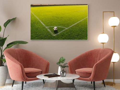 soccer ball on grass