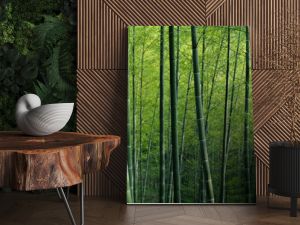 Tapeta z teksturą zielonego lasu bambusowego