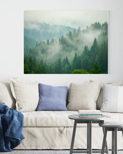 Summer fog in the Carpathian mountains 