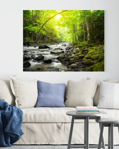 Mountain River in the wood