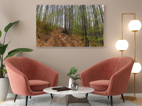 Dirty road near trees in mountain 