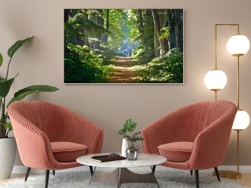Rural gravel road (alley) through mighty green linden trees. Soft sunlight, sunbeams. Fairy forest landscape. Picturesque scenery. Pure nature. Art, hope, heaven, loneliness, wilderness concepts