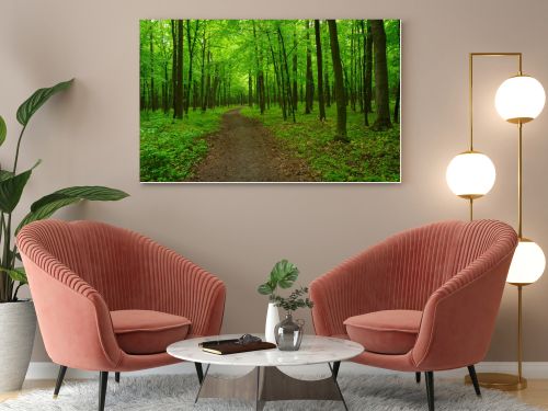 beautiful green forest