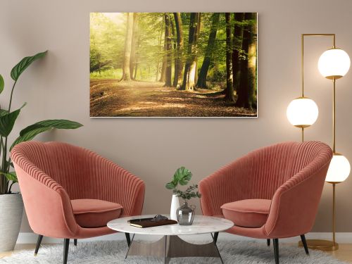 European deep forest