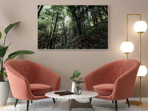 low angle view of trees with green leaves in woods 
