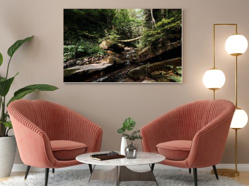tranquil forest with flowing river and stones 
