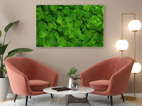 Mint leaves background.