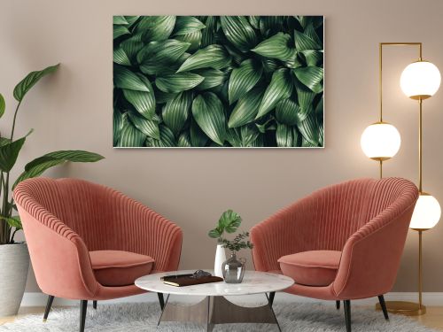 full frame image of hosta leaves background 