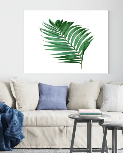 tropical nature green palm leaf isolated pattern background