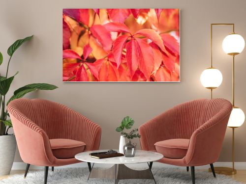 close up of beautiful autumnal plants with red leaves