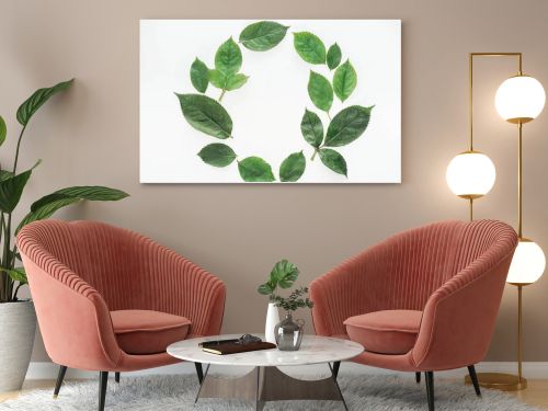 top view of circular composition with green leaves isolated on white