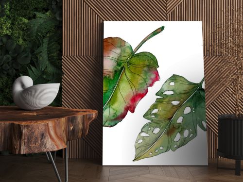 Exotic tropical green palm isolated leaves. Watercolor background illustration.