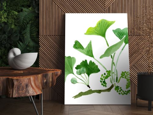 Green ginkgo biloba with leaves isolated on white. Watercolour ginkgo biloba drawing isolated illustration element.