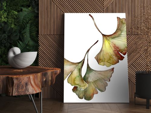 Green and yellow ginkgo biloba leaves isolated on white. Watercolor background illustration set. 