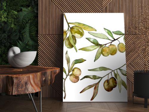 Green olives watercolor background. Watercolour drawing aquarelle. Green leaf isolated olives illustration element.
