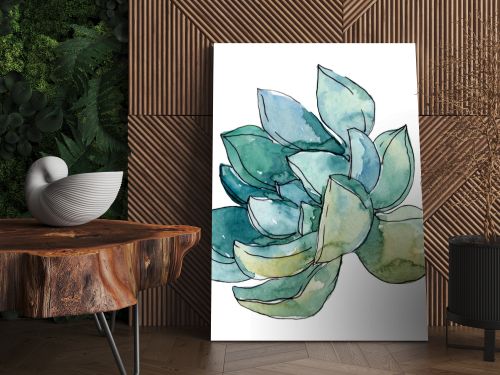 Succulents floral botanical flowers. Wild spring leaf wildflower. Watercolor background illustration set. Watercolour drawing fashion aquarelle. Isolated succulent illustration element.