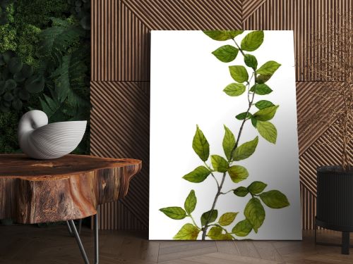 Picture of a tree branch with green leaves hand painted in watercolor on the white background 