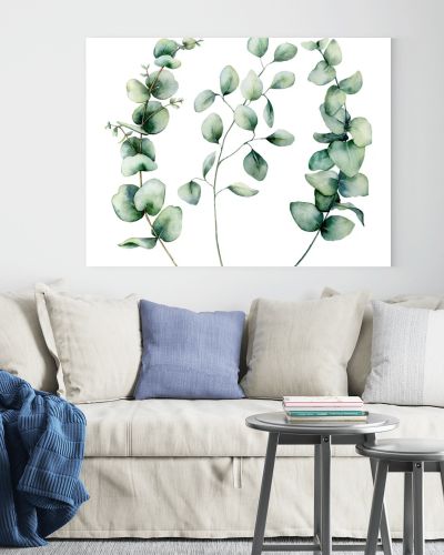 Watercolor silver dollar eucalyptus set. Hand painted baby, seeded and silver dollar eucalyptus branch isolated on white background. Floral illustration for design, print, fabric or background.