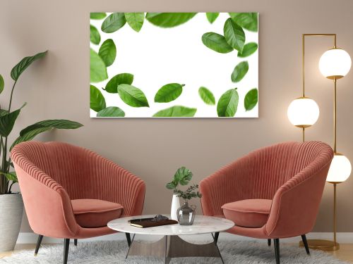 Green citrus leaves swirling in air against white background