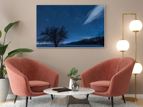 starry dark sky and tree in carpathian mountains at night in winter