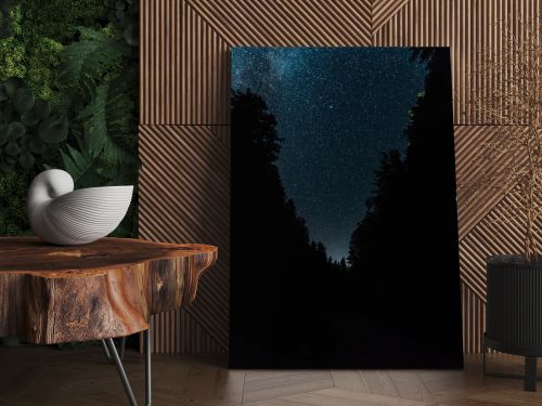 night sky with stars shine in forest at night 