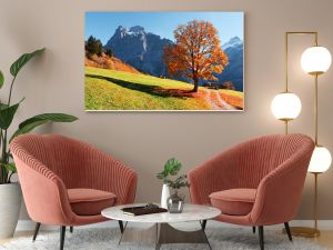 Picturesque autumn landscape with orange tree, green meadow and blue mountains in Grindelwald village in Swiss Alps