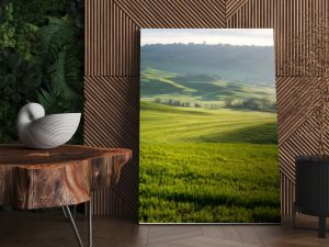 Amazing spring landscape with green rolling hills and farm houses in the heart of Tuscany in morning haze