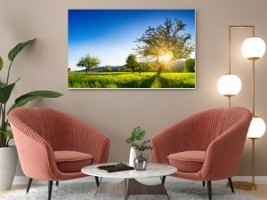 The sun shining through a tree on a green meadow, a panoramic vibrant rural landscape with clear blue sky before sunset