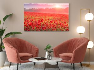 red poppy field in morning mist