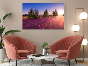 summer landscape with the blossoming meadow, sunrise.panorama  