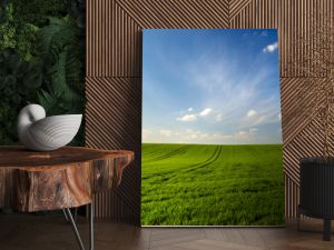 spring landscape panorama,green wheat field